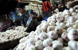 INFLASI JATENG: Tembus 0,25% Terdorong Bawang Putih